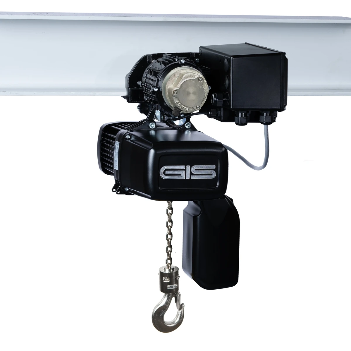 GIS Electric Hoist for Food Industry 3