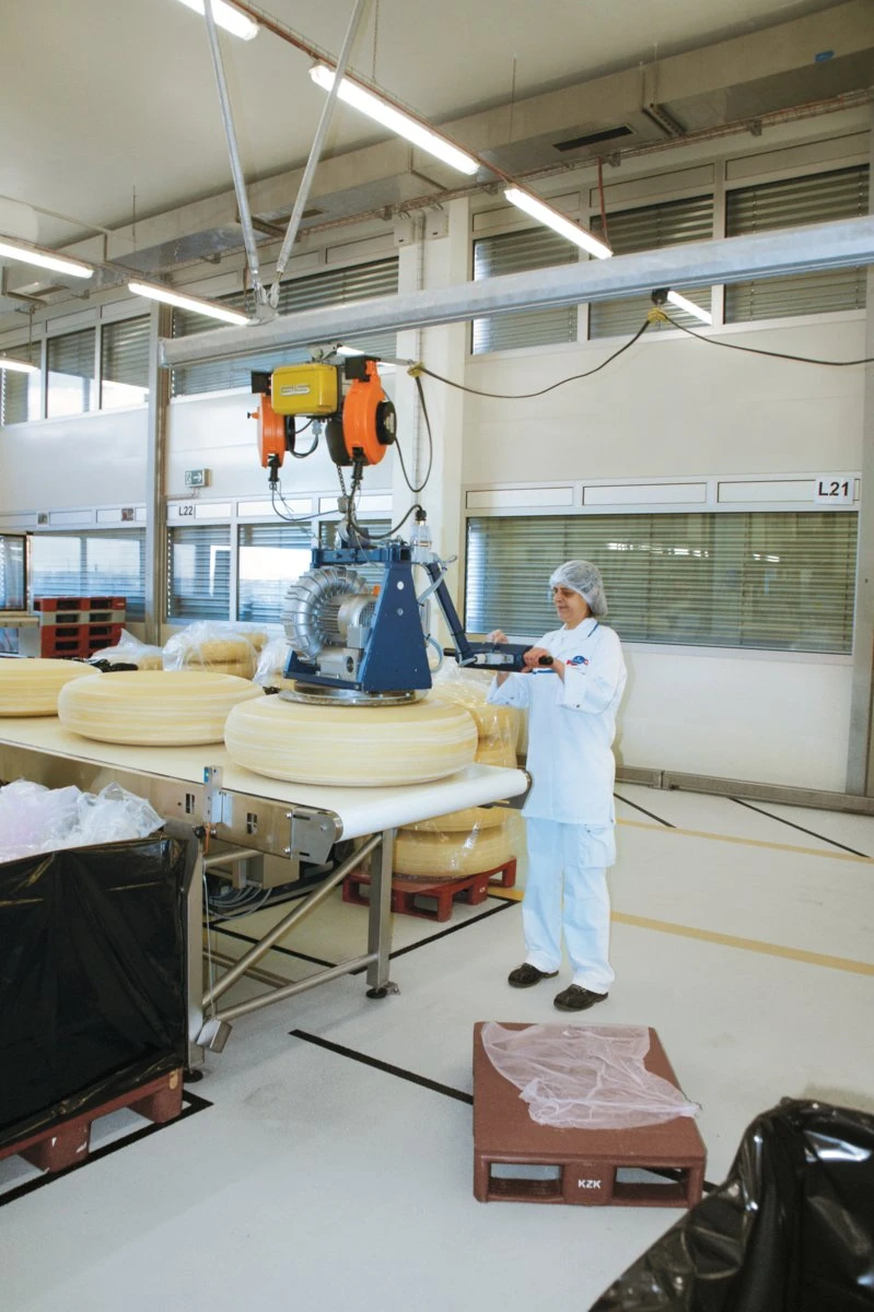 GIS Electric Hoist for Food Industry 9