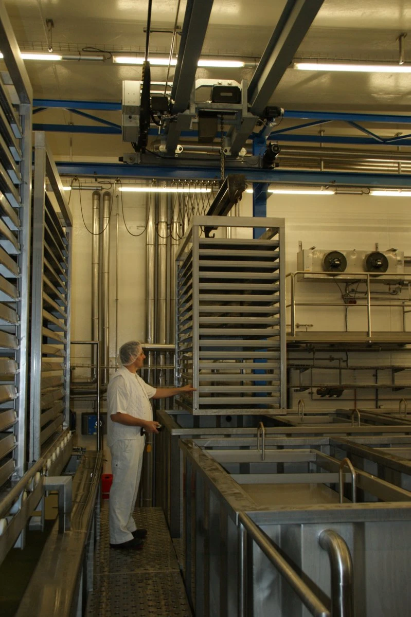 GIS Electric Hoist for Food Industry 10